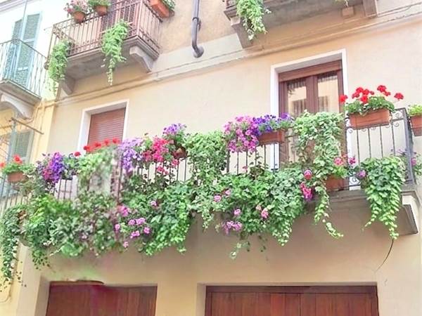 Sagliano Micca -NEL CUORE DELLA VALLE CERVO